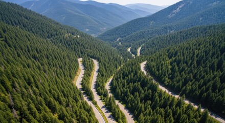 Aerial view of a winding road through a dense forest in the mountains