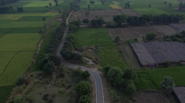 Road in a green village of Nalanda, Bihar, India