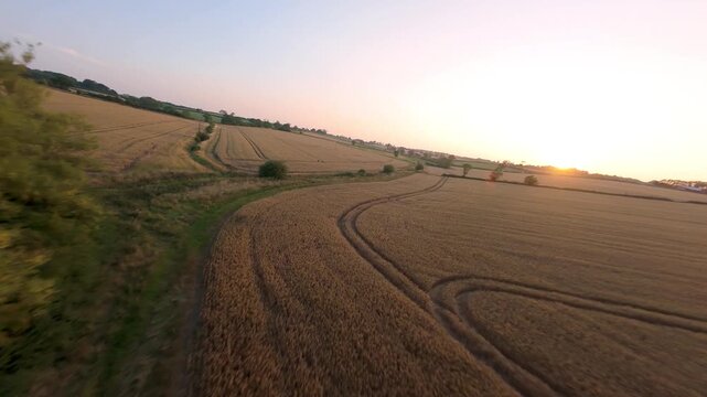 Aerial view of golden wheat fields under a pastel sunset, with earthy tones contrasting against the soft sky, creating a serene landscape, Oakham, Rutland, United Kingdom.