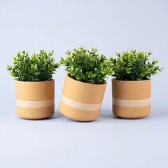 Fototapeta premium Three potted plants with green leaves on light background