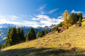 Herbst im Montafon bei Bartholomäberg, Österreich