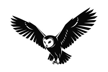 Fototapeta premium Barn owl in flight silhouette with wings spread wide