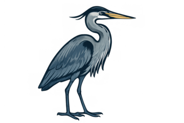 Great blue heron bird standing, wildlife drawing, wetland animal, wading waterfowl illustration design