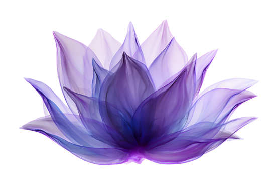 Ethereal Purple Lotus Flower Blooming in Translucent Light