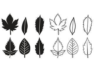 Collection of Diverse Botanical Leaf Silhouettes and Outline Shapes