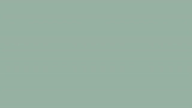 Passport Approval Pattern - Seamless Background for Travel Documents.