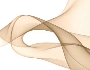 An abstract image featuring flowing, translucent, tan-colored ribbons against a stark black background. The ribbons appear to swirl and overlap, creating an ethereal, light composition