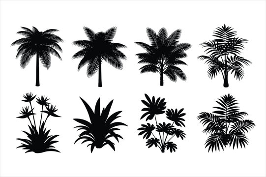 Placeholder for a vector graphic file on a clean white background