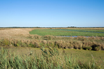 Marais Breton, Marais Vendéen,