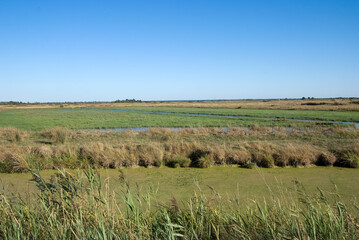 Marais Breton, Marais Vendéen,