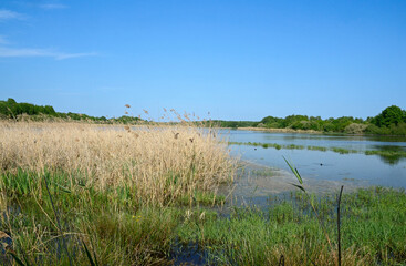 Etang de Beaumont