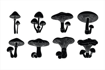 Vector file format for digital graphic design and creative projects