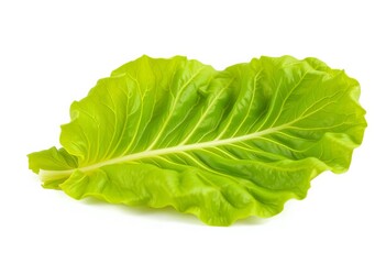 Single vibrant green lettuce leaf, crisp and fresh, isolated on pure white,  leaf,  white background