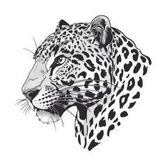 Detailed Black and White Leopard Head Portrait Illustration of Wildlife Animal