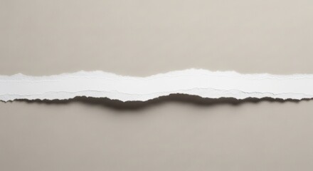 Horizontal Torn Paper Border with White Space and Soft Shadow | Warm Minimalist Copy Space Background