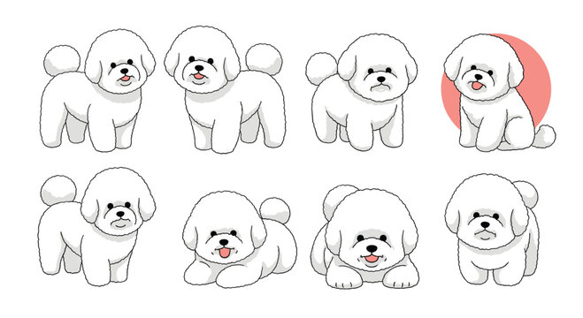 Charming collection of adorable white Bichon Frise puppies in various cute poses and expressions, perfect for pet-themed designs and illustrations.