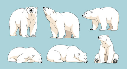 Collection of charming polar bear illustrations in various poses, including standing, walking, and resting positions, against a light blue background.
