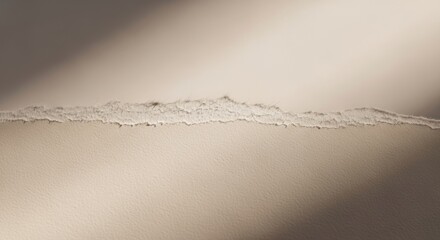 Soft Shadow Torn Paper Edge with Rough Fibers on Neutral Background