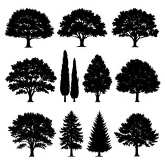 Fototapeta premium Pine tree silhouettes. Evergreen forest firs and spruces black shapes, wild nature trees templates. isolated vector illustrations of various deciduous.