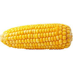 Fresh yellow corn on the cob image for summer bbq grilling and healthy eating vegetarian food recipe 100