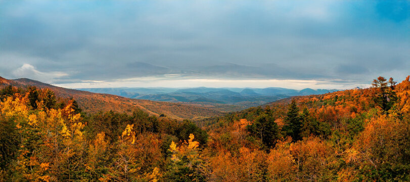 fall colors in Boone North Carolina