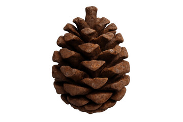 Brown pinecone, a natural forest item representing autumn and winter holidays, isolated with transparent background