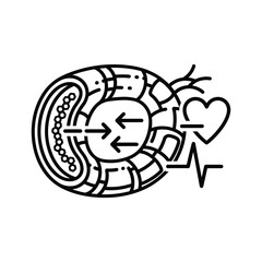 Cardiovascular system and heart health icon, medical diagram line