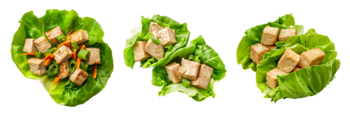 Tofu lettuce wraps with various vegetables in a studio shot arrangement