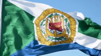 Flag waves in breeze, emblem detail visible against clear blue sky, for patriotism theme