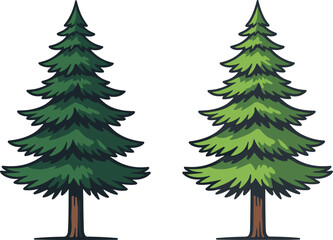 Evergreen tree comparison, foliage contrast, nature illustration, botanical design, seasonal variation, forest concept, flat vector, cad drawing, tree art