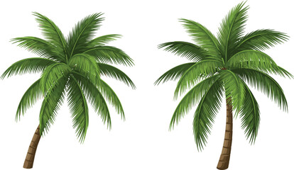 Palm tree illustration, tropical nature, beach icon, summer vibe, exotic plant, green fronds, CAD drawing, flat vector, vacation symbol, island flora