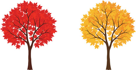 Autumn tree, fall foliage, red leaves, yellow leaves, seasonal change, nature illustration, deciduous tree, vector art, botanical drawing, landscape design