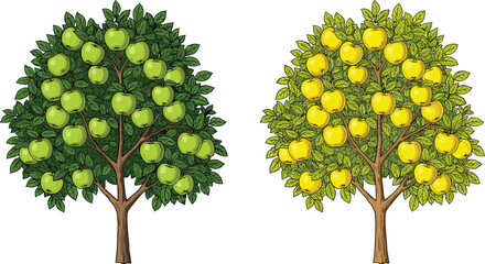 Green apple tree, yellow apple tree, fruit orchard, apple harvest, botanical illustration, nature farming, agriculture concept, seasonal produce, vector art