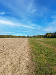 Rural farmland with brown cultivated earth and green meadow creating visual contrast under bright sky perfect for landscape photography.
