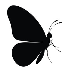 A captivating butterfly silhouette with intricate wing patterns, isolated on, showcasing the beauty and elegance of natures delicate creatures