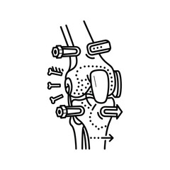 Human Joints Anatomy Illustration: Wrist, Elbow, and Knee Line Art Diagram