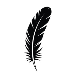 Fototapeta premium Black feather isolated on a single plume with a quill and barbs symbol of writing, freedom, lightness, and spirituality