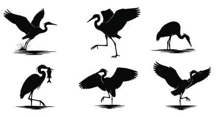 Silhouettes of wading birds in various poses a striking avian collection