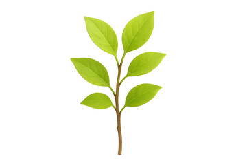 Fototapeta premium Fresh green leaf branch isolated on black background nature plant foliage botanical ecology concept of organic growth forest element and environmental sustainability design