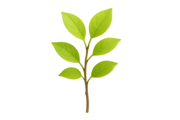 Fresh green leaf branch isolated on black background nature plant foliage botanical ecology concept of organic growth forest element and environmental sustainability design