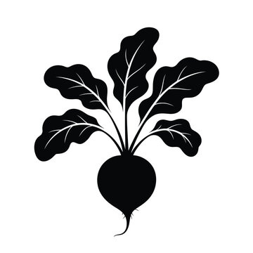 Striking black silhouette of a beet plant with lush leaves, isolated on, showcasing the vegetables natural beauty and earthy charm in a minimalist design