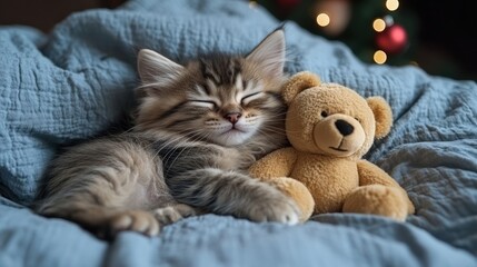 A fluffy kitten peacefully sleeps beside a soft teddy bear, radiating comfort and joy