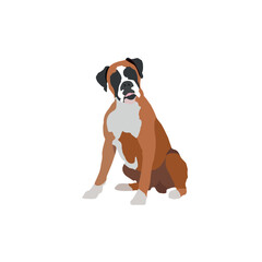 boxer dog isolated on white background vector.eps