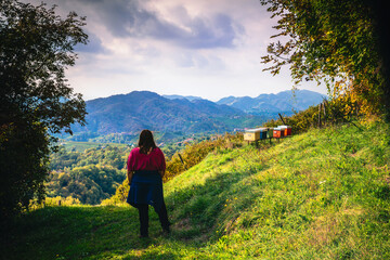 Naklejka premium Colline del Prosecco, UNESCO