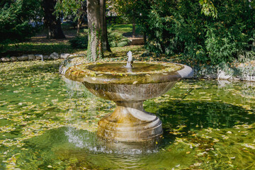Fountain surrounded by lush greenery and fallen leaves in a peaceful park setting during autumn afternoons