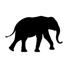 Silhouette of an African Elephant Walking Slowly on a White Background
