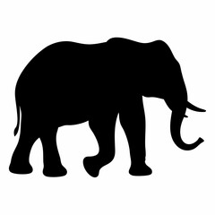 Silhouette of an African Elephant Walking Slowly Across the Plain