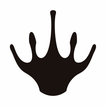 Dark Silhouetted Bird Footprint on a White Background  Track and Wildlife Identification