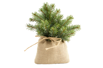 Mini Christmas tree in a burlap sack with sparse decoration isolated on a transparent background 