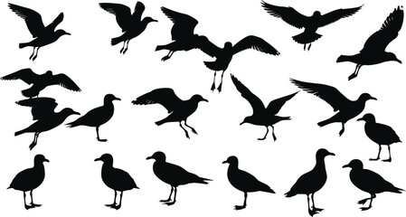 Seagull silhouettes vector collection of flying, landing, and standing seabirds, black coastal bird icons for nature, beach, ocean, wildlife design projects.